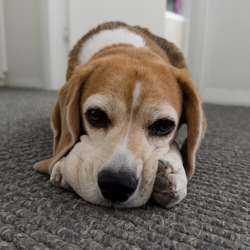 IDG_20251104_134824_157