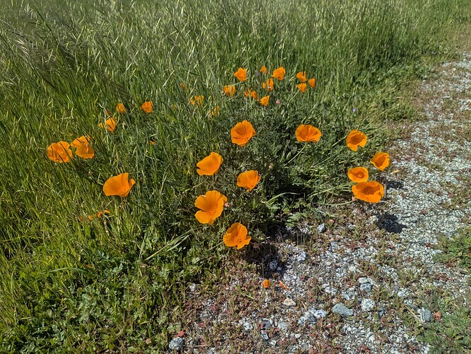 PXL_20250320_201033813