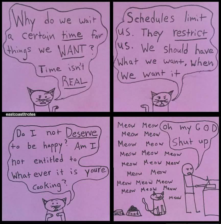 cat talk